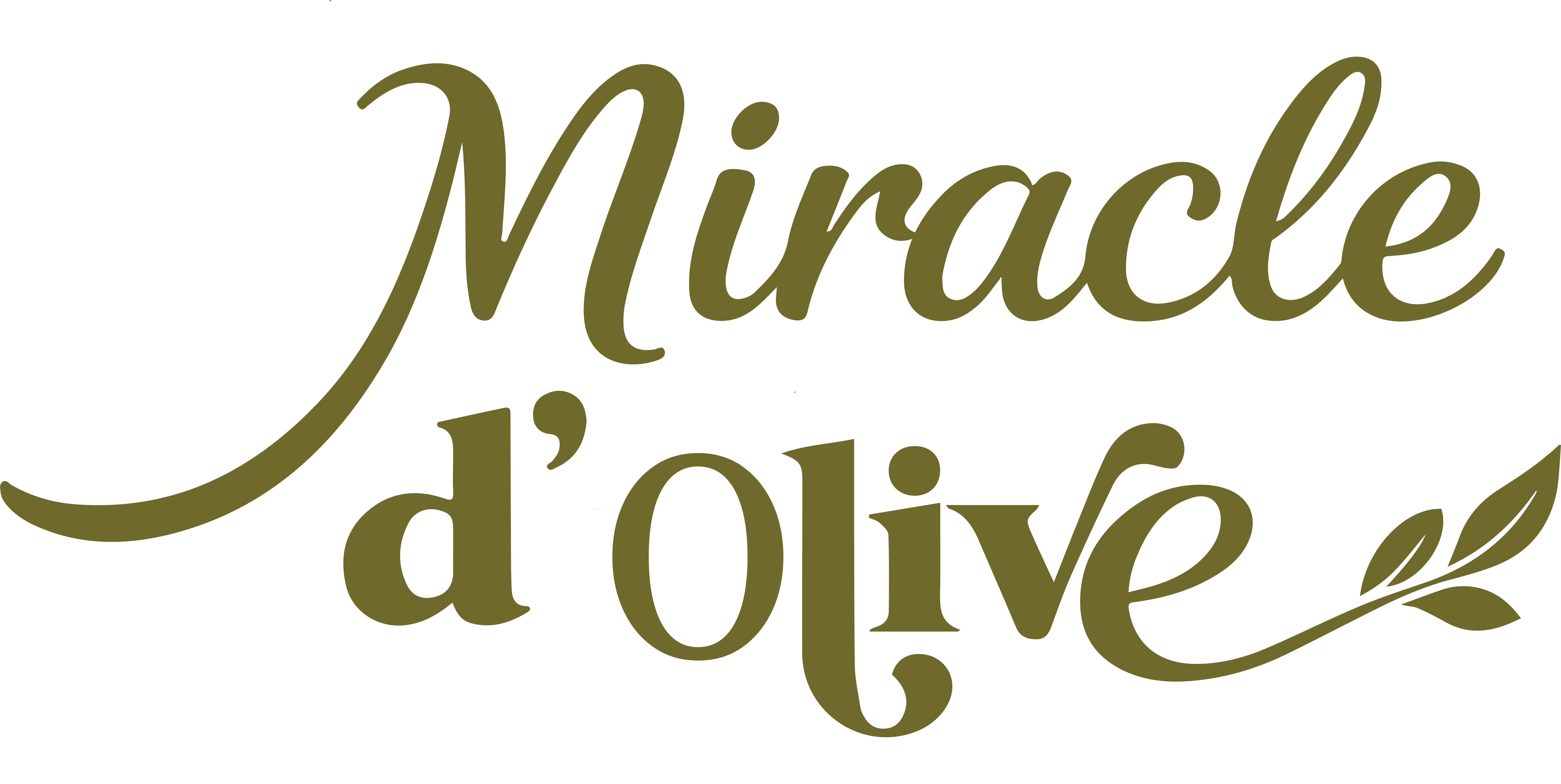 Miracle d'olive logo